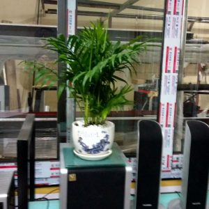 Cửa đi mở trượt nhôm Xingfa được thi công bởi Việt Hà Glass